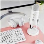 What Mic Does Jynxzi Have